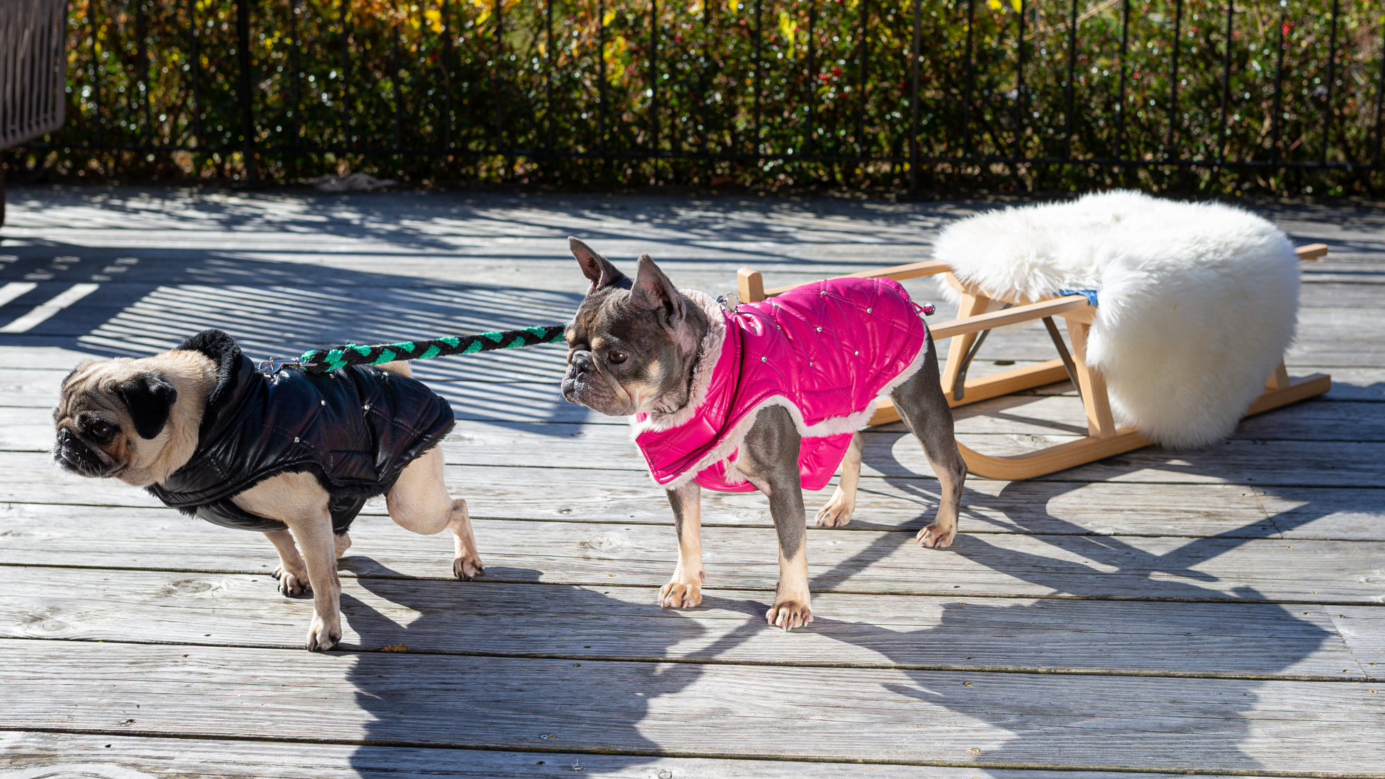 BOLD Case Huus Sliderimage02 1920x1080px Update2021