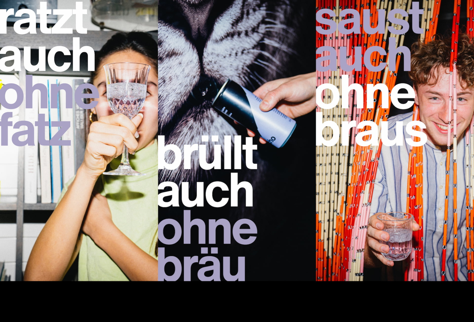 BOLD Case echo Visuals4 v2