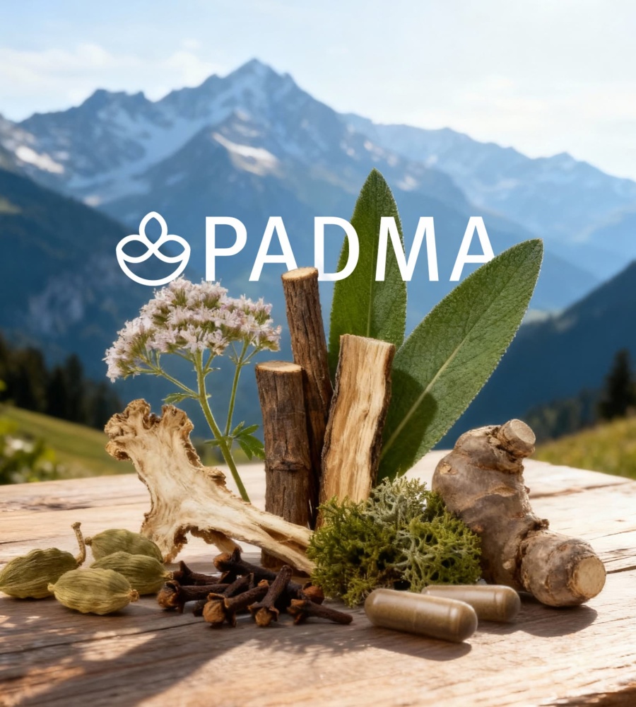 BOLD Padma teaser small